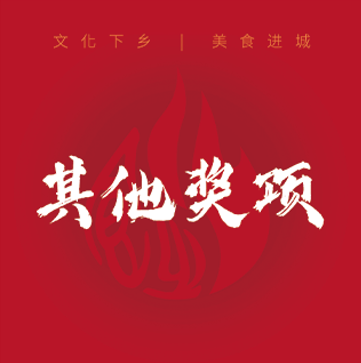 其他奖项